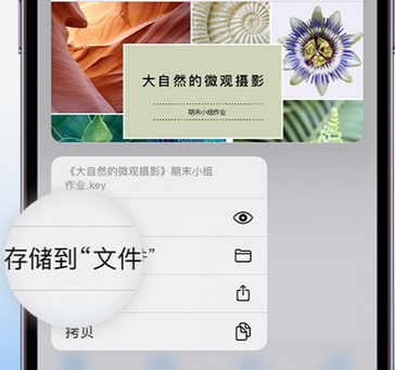 玉田apple维修中心分享iPhone文件应用中存储和找到下载文件