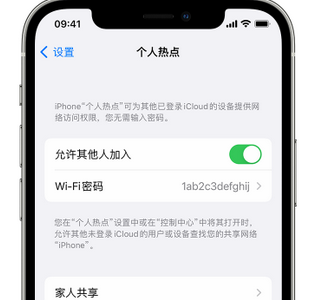 玉田apple服务站点分享iPhone上个人热点丢失了怎么办 