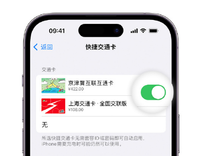 玉田apple维修点分享iPhone上更换Apple Pay快捷交通卡手绘卡面 