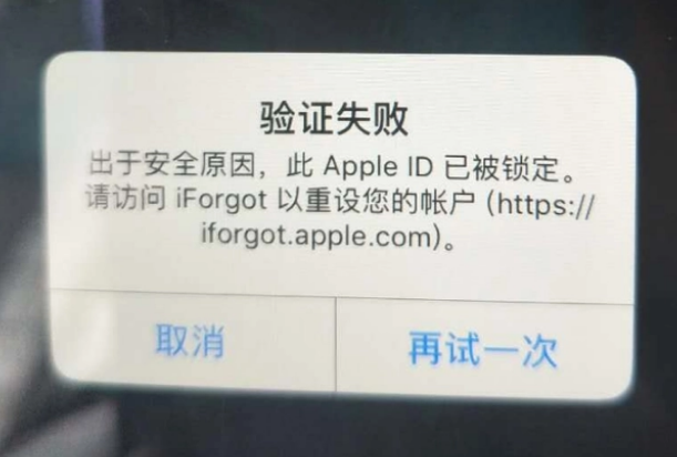 玉田iPhone维修分享iPhone上正常登录或使用AppleID怎么办 