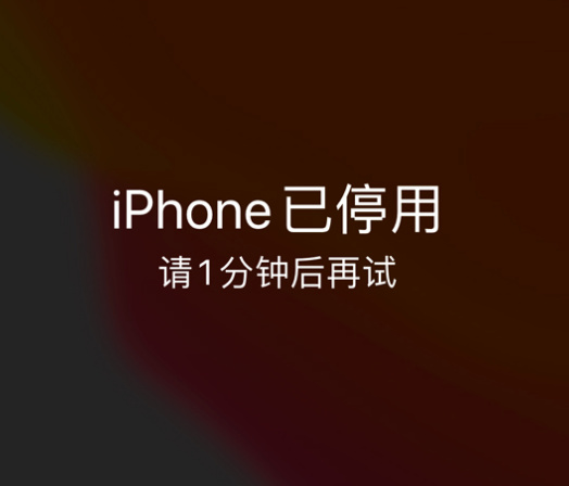 玉田苹果手机维修分享:iPhone 显示“不可用”或“已停用”怎么办？还能保留数据吗？ 