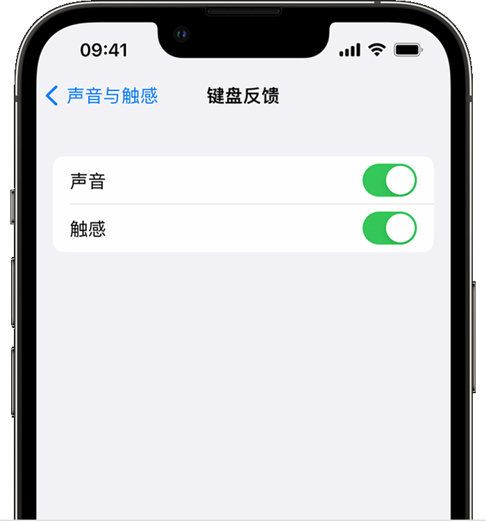 玉田苹果14维修店分享如何在 iPhone 14 机型中使用触感键盘 