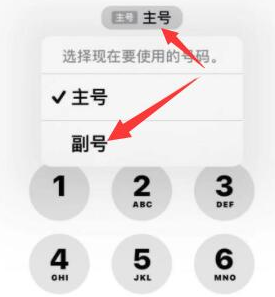 玉田苹果14维修店分享iPhone 14 Pro Max使用副卡打电话的方法 