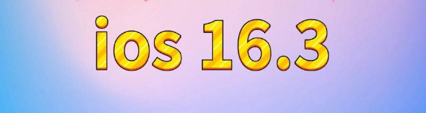 玉田苹果服务网点分享苹果iOS16.3升级反馈汇总 