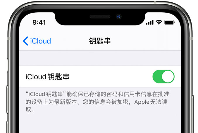 玉田苹果手机维修分享在 iPhone 上开启 iCloud 钥匙串之后会储存哪些信息 